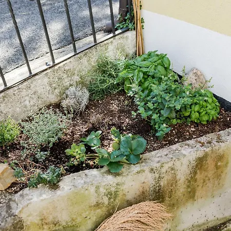 Hurban La Casa Dei Fiori *